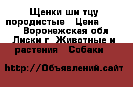 Щенки ши-тцу породистые › Цена ­ 7 000 - Воронежская обл., Лиски г. Животные и растения » Собаки   